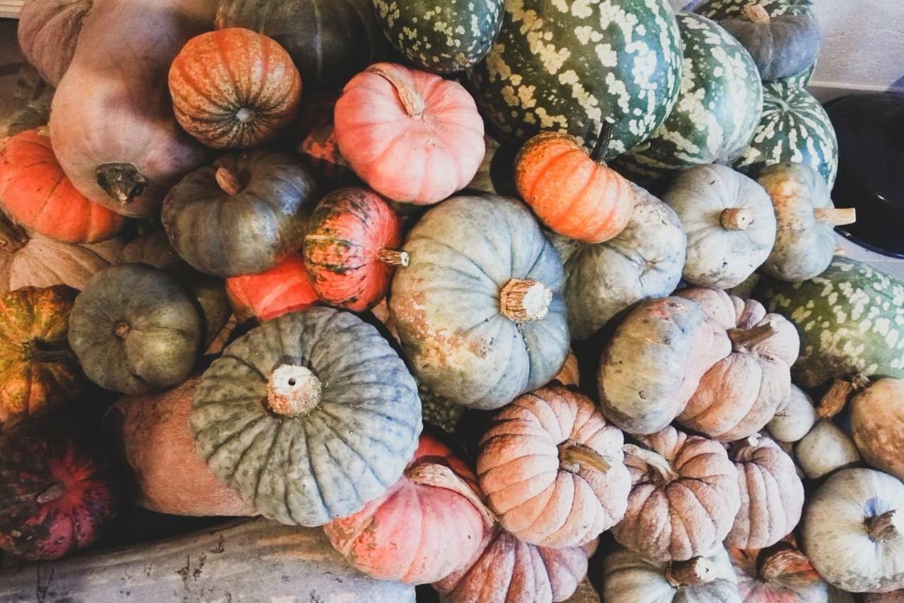 Agriturismo Fiori Di Zucca Fossano Exteriér fotografie