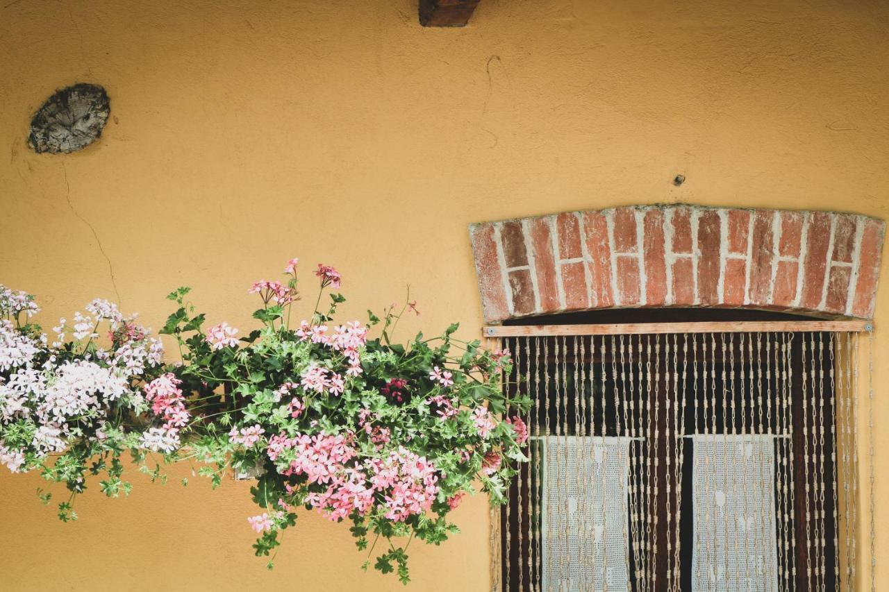 Agriturismo Fiori Di Zucca Fossano Exteriér fotografie
